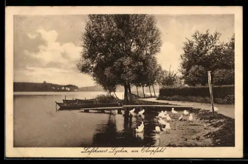 AK Lychen, Oberpfuhl, Uferpartie mit Bootssteg und Enten