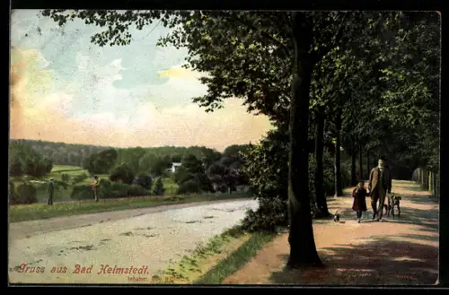 AK Bad Helmstedt, Spazierweg am Waldrand, Landschaft