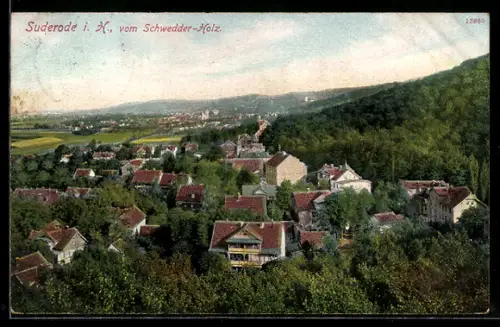 AK Suderode i. H., Vom Schweder-Holz, Ortsansicht