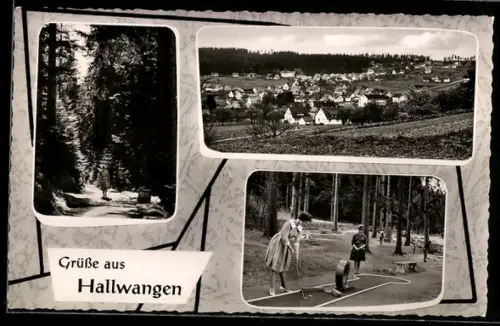 AK Hallwangen, Waldweg, Ortsansicht, Minigolfplatz