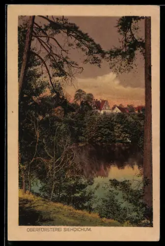 AK Mixdorf /Lausitz, Oberförsterei Siehdichum, Waldpartie