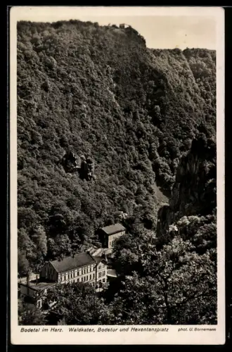 AK Bodetal im Harz, Waldkater, Bodetor und Hexentanzplatz