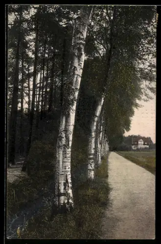 AK Hannover-Eilenriede, Am Waldesrande