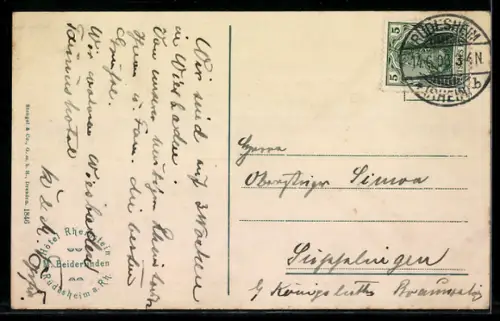 AK Rüdesheim a. Rh., Burg Rheinstein