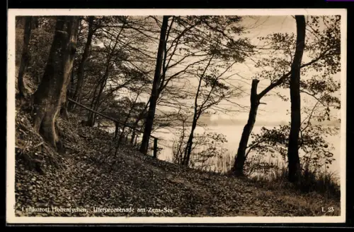 AK Hohenlychen, Uferpromenade am Zens-See