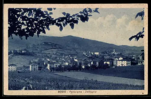 AK Bosio, Panorama, Dettaglio
