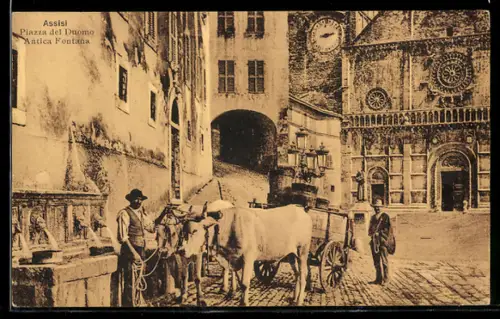 AK Assisi, Piazza del Duomo, Antica Fontana con buoi e carro davanti alla cattedrale storica