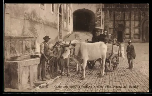 AK Assisi, Carro con buoi, la fontana e parte della Piazza del Duomo