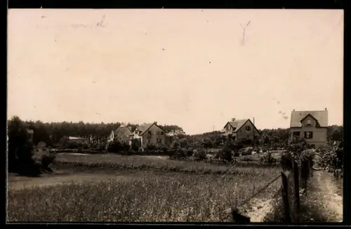 AK Lychen, Siedlungshäuser am Waldrand