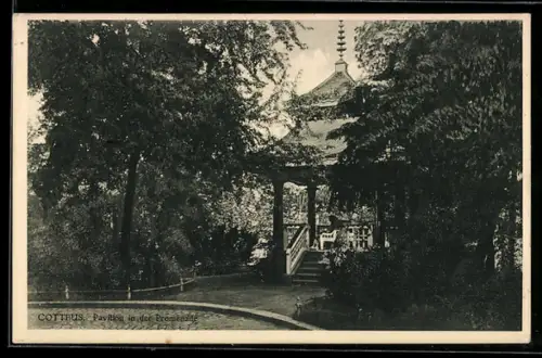 AK Cottbus, Pavillon in der Promenade
