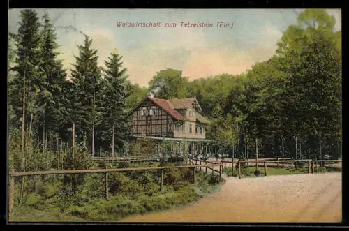 AK Königslutter /Elm, Waldgasthof zum Tetzelstein