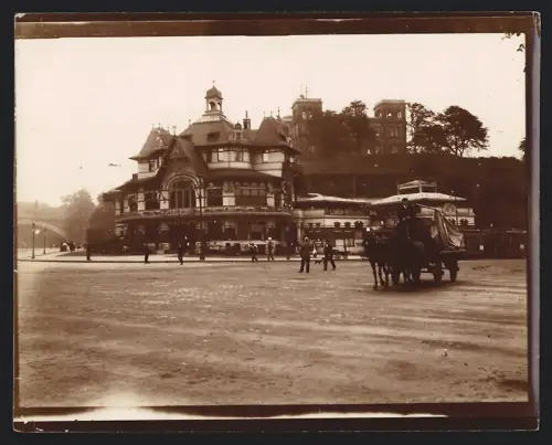 10 Fotografien unbekannter Fotograf, Ansicht Hamburg, Fährhaus m. Löwenbräu, Flamingos im Zoologischen Garten 1908