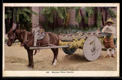 AK Mexican Water Carrier, Pferdegespann
