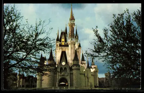AK Walt Disney World, Cinderella Castle, Fantasyland, Evening