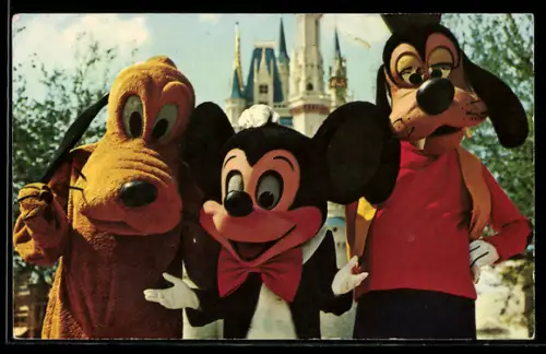 AK Walt Disney World, Mickey Mouse, Pluto and Goofy