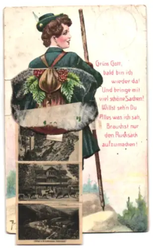 Leporello-AK Treseburg, Mit Teufelsbrücke, Königsruhe und Hirschgrund