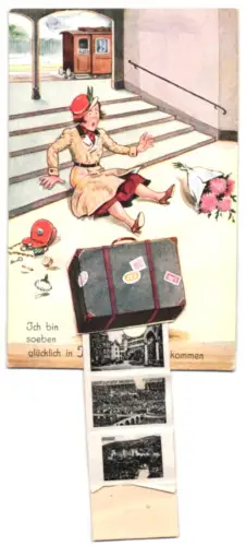 Leporello-AK Heidelberg, Das grosse Fass, Schlosshof und Schloss in der Aussenansicht