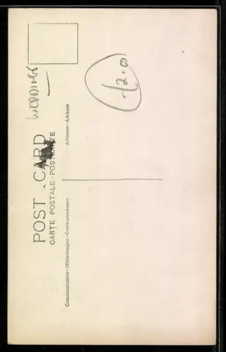 Foto-AK Hochzeitspaar auf einem Rasen