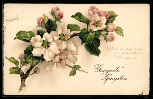 AK Welche der Geist Gottes treibt..., Rosenzweig, Pfingstgruss