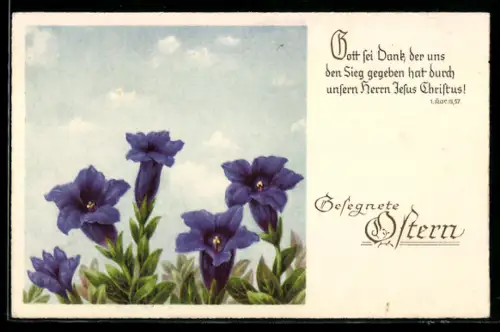 AK Gott sei Dank..., Glockenblumen, Ostergruss