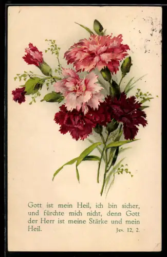 AK Gott ist mein Heil..., Bibelzitat, Nelkenstrauss