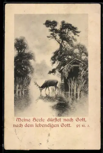 AK Meine Seele dürstet..., Bibelspruch, Trinkender Hirsch