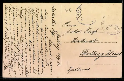 AK Aalborg, Park-Hotel