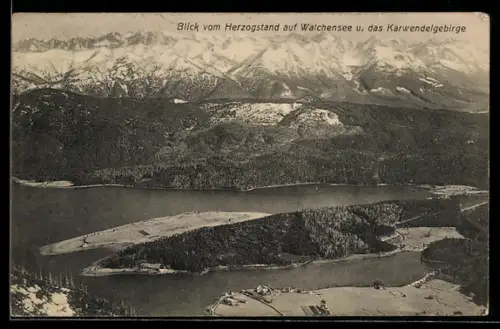 AK Walchensee, Blick vom Herzogstand auf Walchensee und Karwendelgebirge