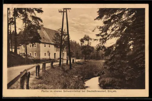AK Deutschneudorf /Erzgeb., Partie im oberen Schweinitzthal, Landstrasse, Wohnhaus, Wald