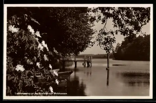 AK Molchow, Landungssteg an der Ausfahrt zum Molchowsee
