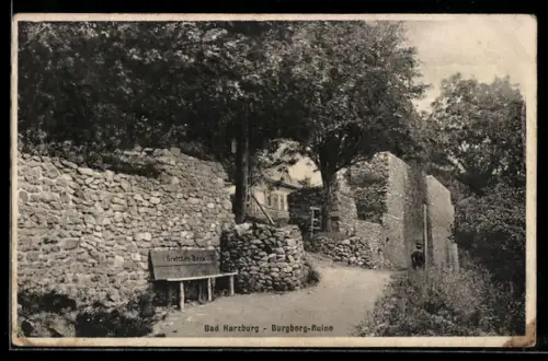 AK Bad Harzburg, Burgberg-Ruine
