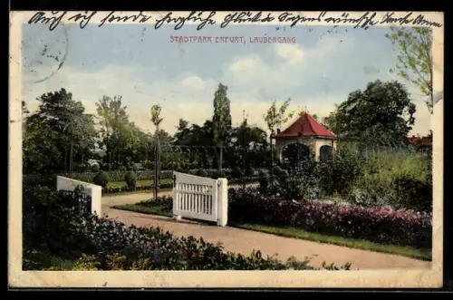 AK Erfurt, Stadtpark, Laubengang, Pavillon