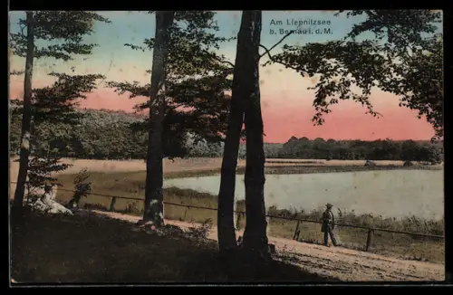AK Bernau d. M., Am Liepnitzsee, Uferweg, Waldlandschaft