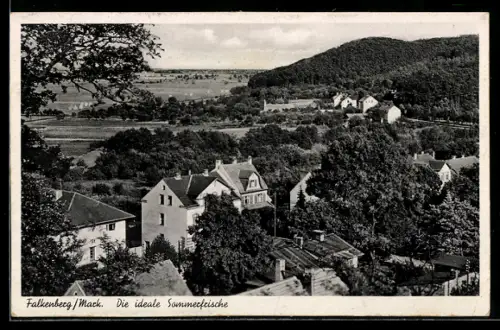 AK Falkenberg /Mark., Ortsansicht aus der Vogelschau