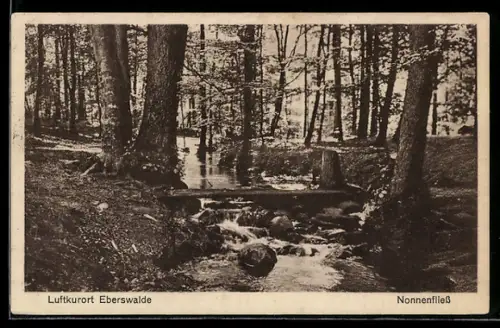 AK Eberswalde, Am Nonnenfliess