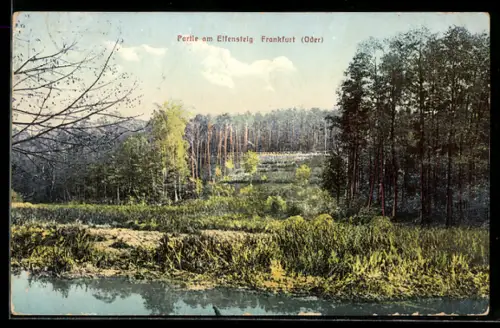 AK Frankfurt /Oder, Partie am Elfensteig