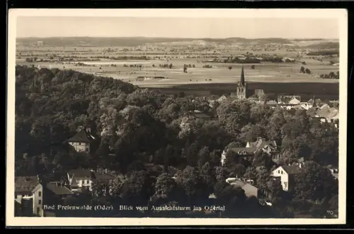 AK Bad Freienwalde /Oder, Blick vom Aussichtsturm ins Odertal
