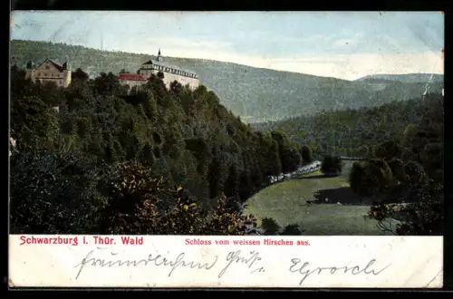 AK Schwarzburg i. Thür. Wald, Schloss mit Umgebung vom weissen Hirschen aus