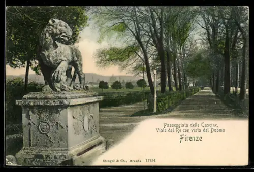 AK Firenze, Passeggiata delle Cascine, Viale del Re con vista del Duomo
