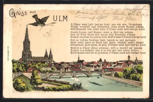 Lithographie Ulm, Ansicht der Stadt mit Ulmer Münster