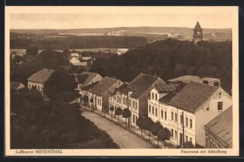 AK Biesenthal, Panorama mit Schlossberg