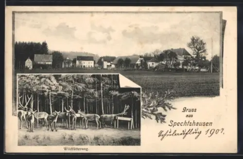 AK Spechtshausen, Ortsansicht und Wildfütterung am Waldrand