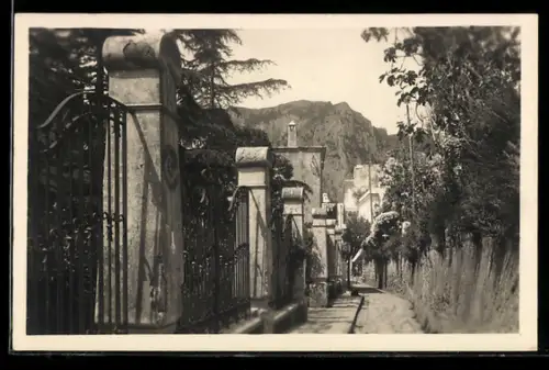 AK Capri /Via Tiberio, Veduta del viale alberato e delle montagne sullo sfondo