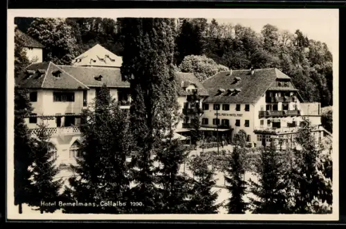 AK Collalbo, Hotel Bemelmans tra gli alberi e natura circostante