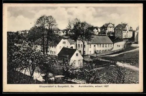 AK Göppersdorf, Blick auf Aurichmühle