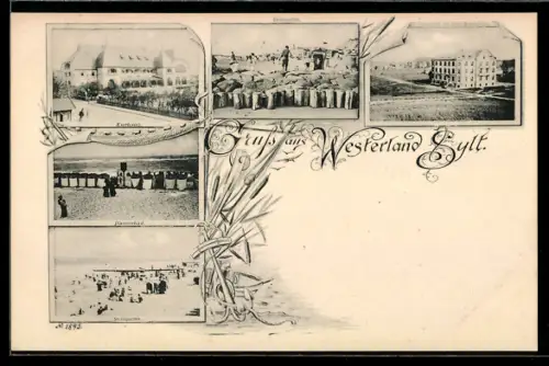 AK Westerland /Sylt, Partien am Kurhaus, Strand und beim Damenbad
