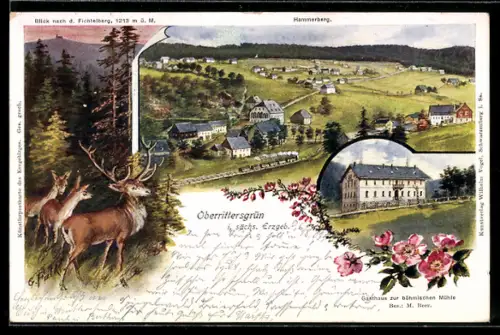 AK Oberrittersgrün i. sächs. Erzgeb., Totalansicht mit Hammerberg, Gasthaus zur böhmischen Mühle, Bes. M. Beer