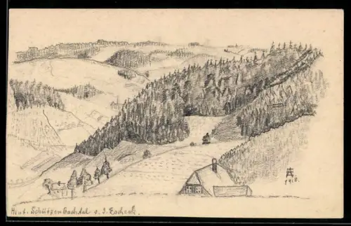 Künstler-AK Handgemalt: Furtwangen, Im Schützenbachtal von der Eschek, 1918