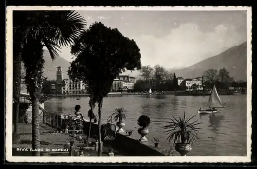 AK Riva /Lago di Garda, Panorama mit Bäumen