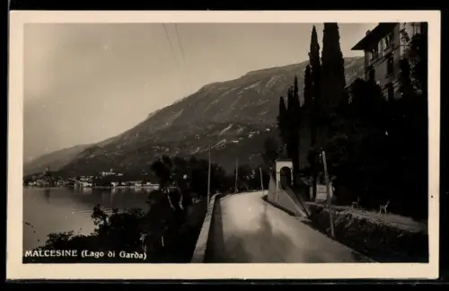 AK Malcesine /Lago die Garda, Panorama